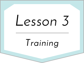 Lesson 3 Training